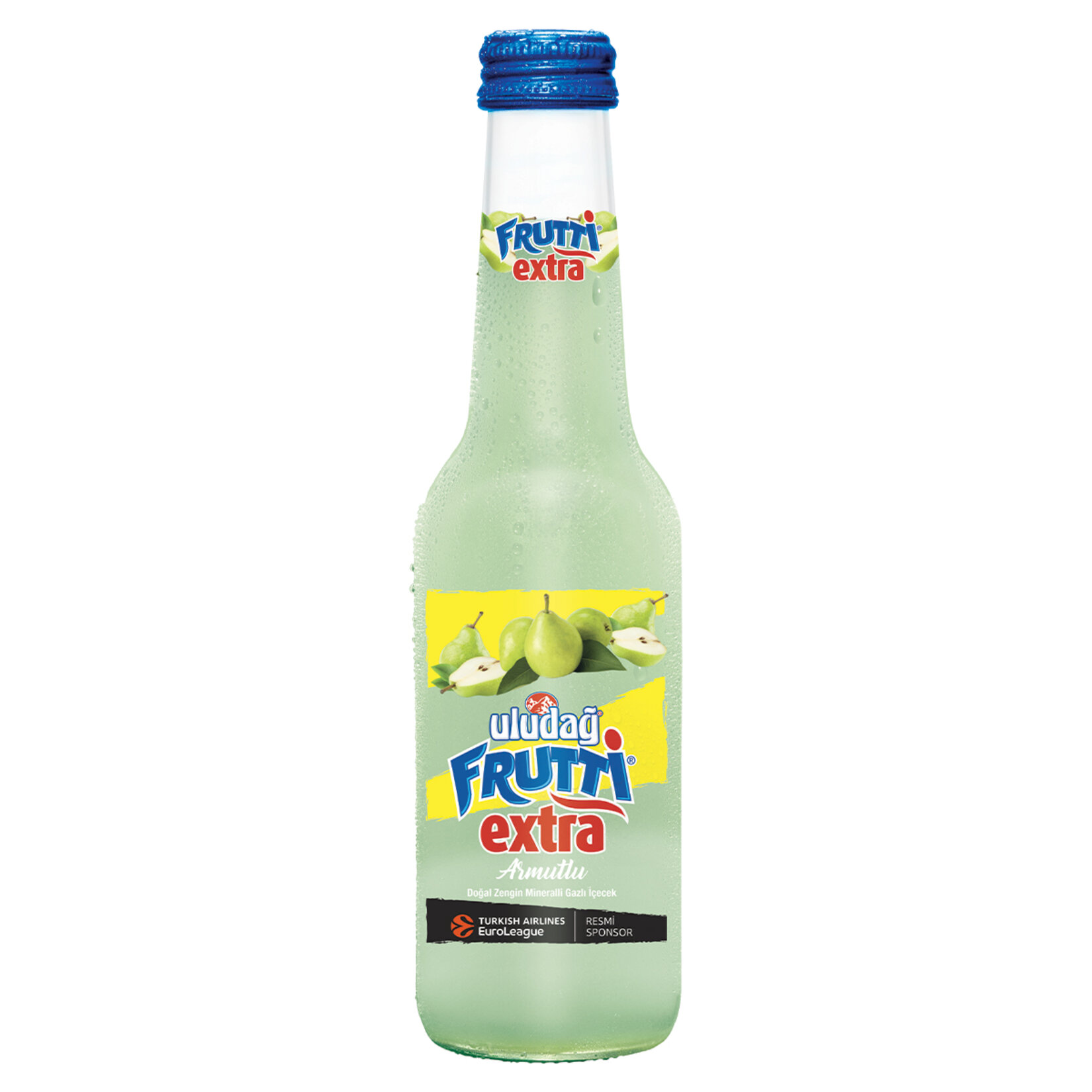 ULUDAG FRUTY EXTRA GAZLI ICECEK 250ML ARMUT