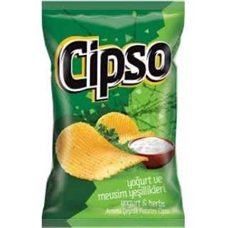 CIPSO YOGURT VE MEVSIM SP PLUS 110GR